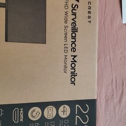 22" 24/7 Surveillance Monitor