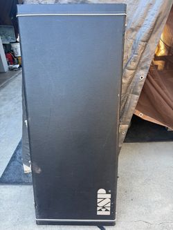 ESP Flying V hard case