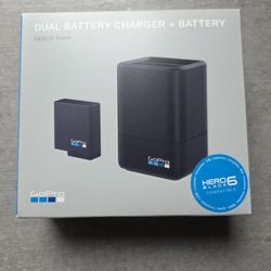 Gopro Battery And Charger