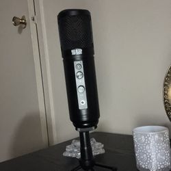 USB C Microphone 
