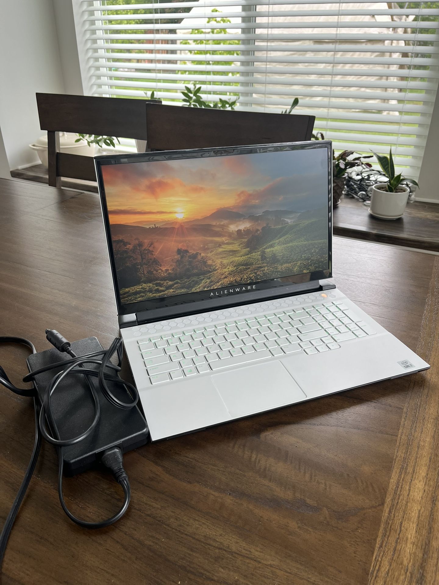 Alienware m17 R4 Gaming Laptop - Very Powerful