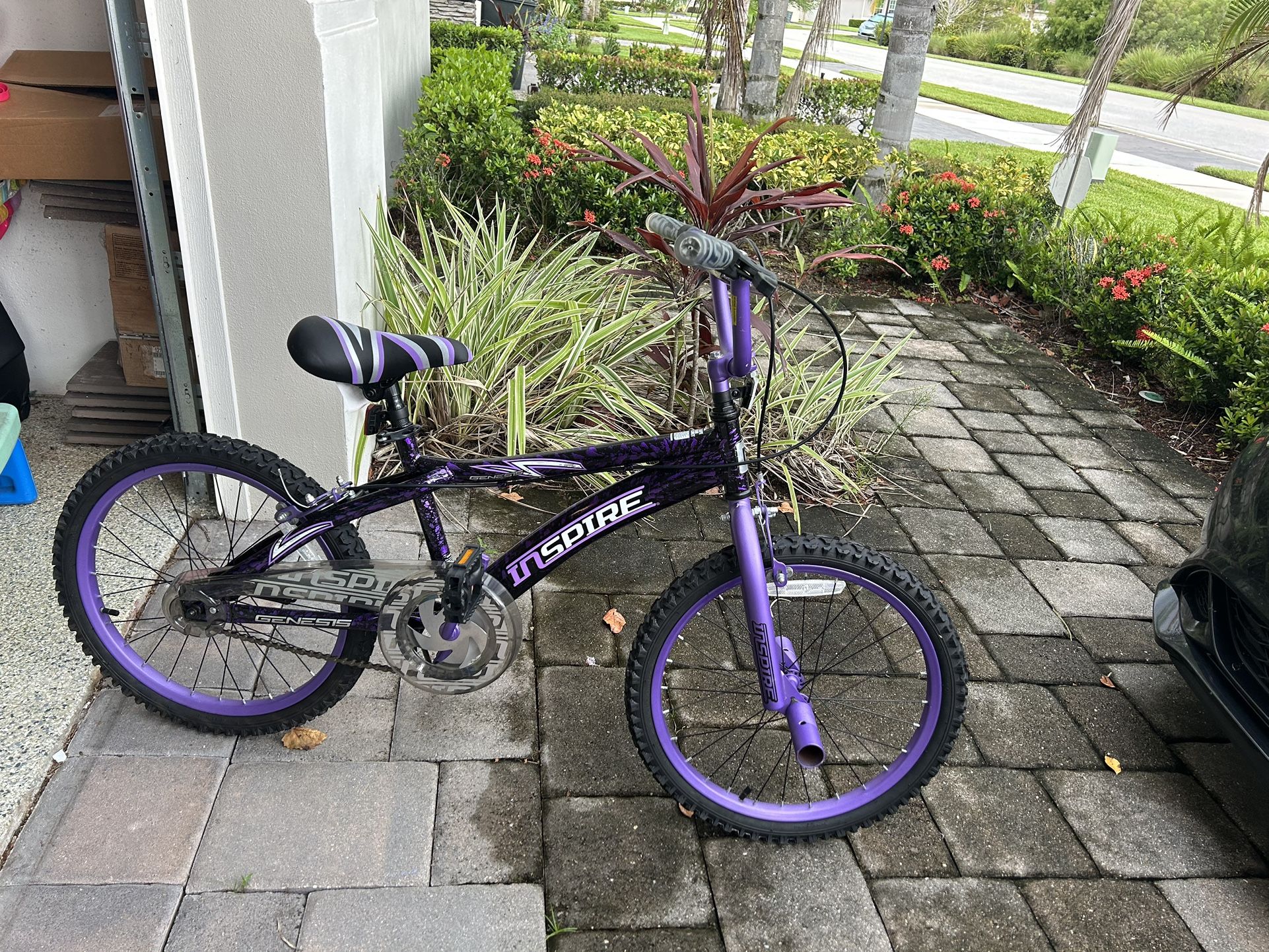 20” Dynacraft Insprire girls bike