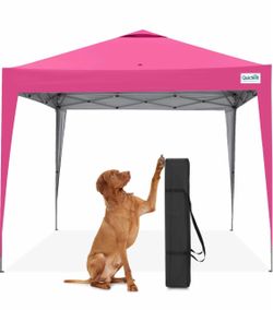 10x10 pop up canopies