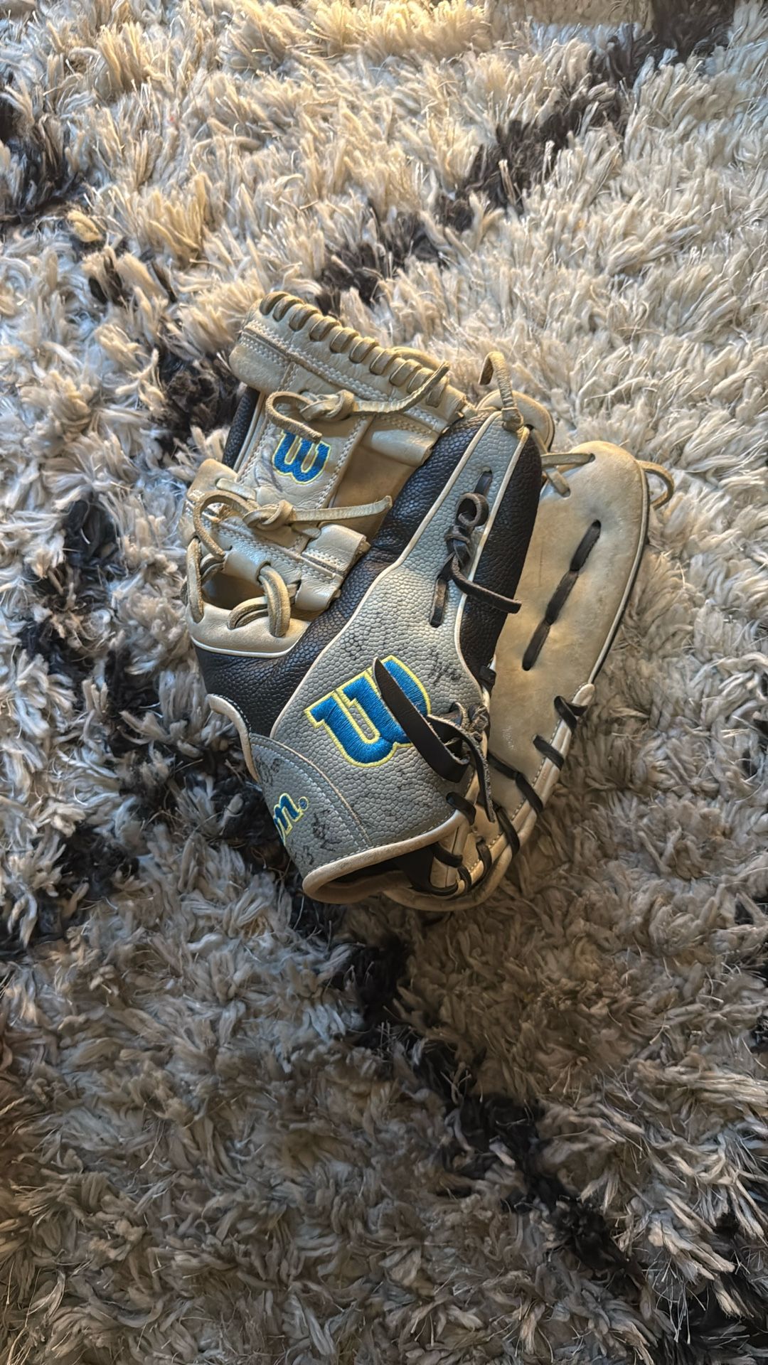 A2000 Baseball Glove Signed By Savanna Bananas