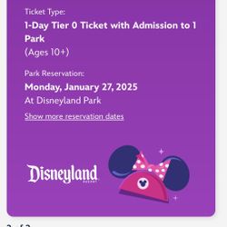 1DAY DISNEY PASS ONLY NO CA ADVENTURE