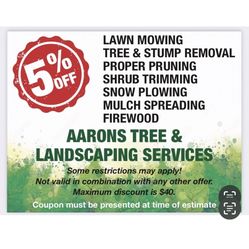 Stump Grinding 