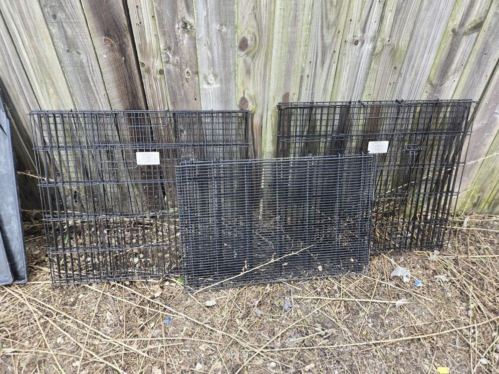 2x3 Puppy Crate