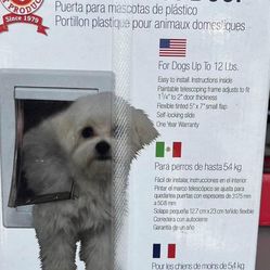 Pet Door