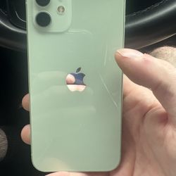 IPhone 12 brand New Condition 