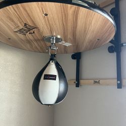 Everlast speed bag 