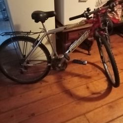 Bike( East Boston)21 Speed