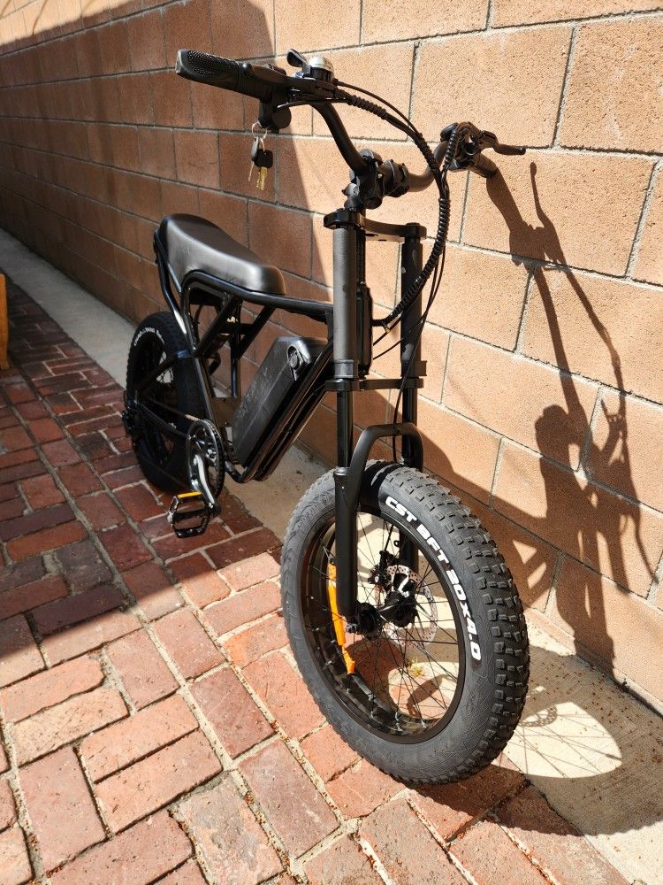 Ridstar® Q20 1200W Fat Tire Electric Bicycle