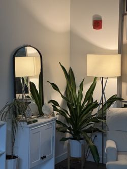 Standing Lamp