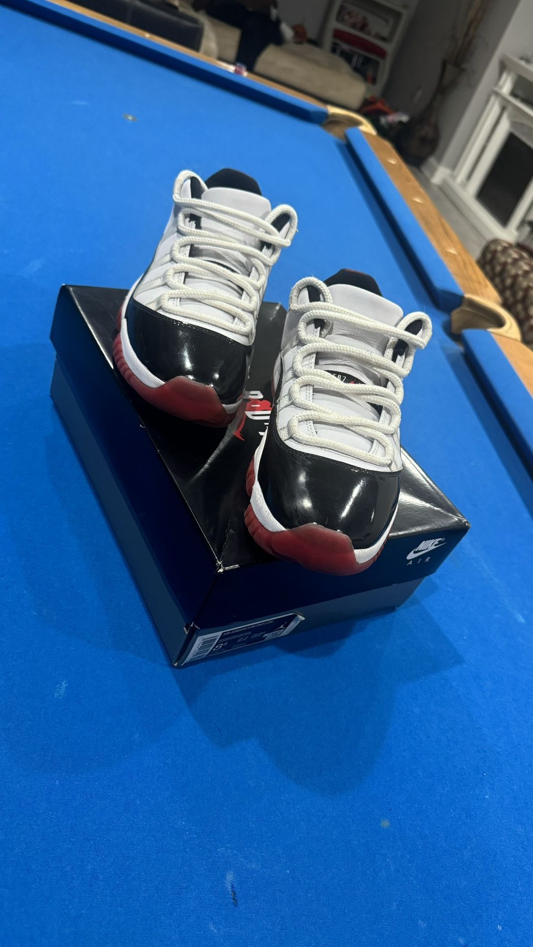 Air Jordan 11 Retro Low