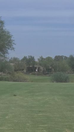 Discount Golf