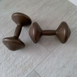 Dumbbells Set 6.6 Lbs Each