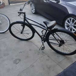 Schwinn Bike