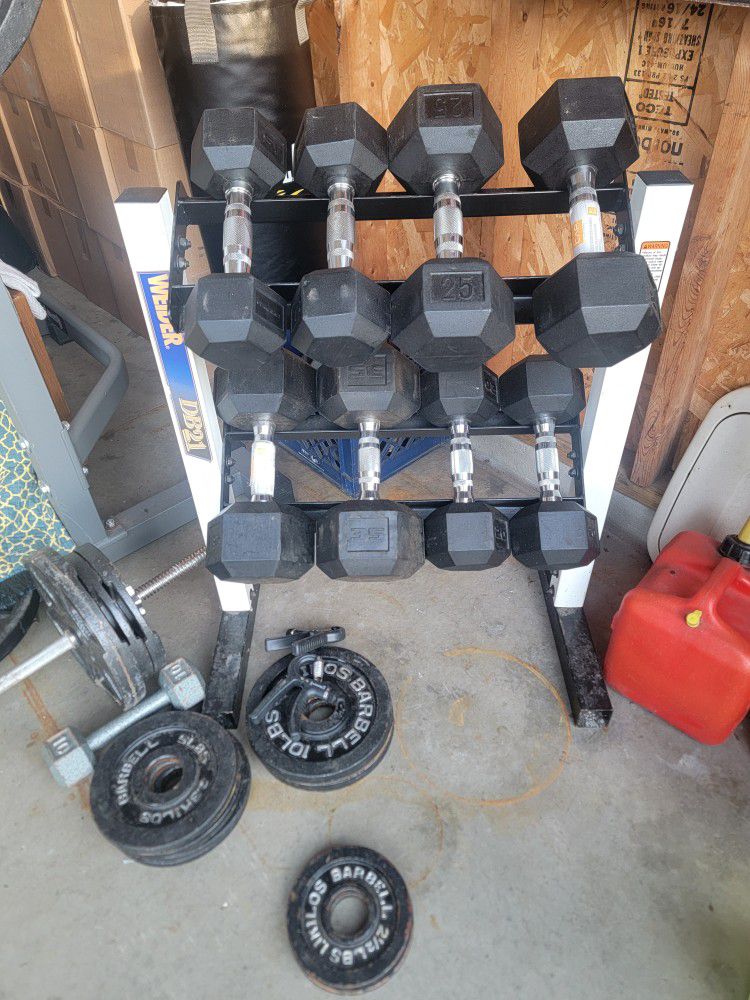 Exercise Equipment Weights 