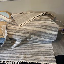 2 area rugs for $60