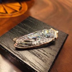 Cicada Sculpture and Base