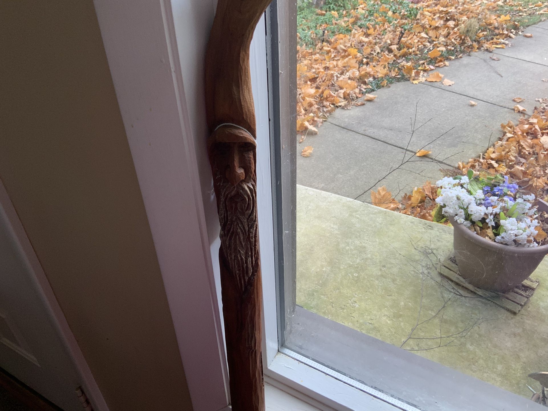 Hand carved Walking Stick
