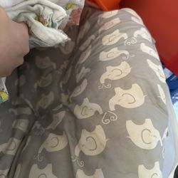 Free Nursing Pillow And Some Blankets