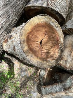 Monkey Pod logs