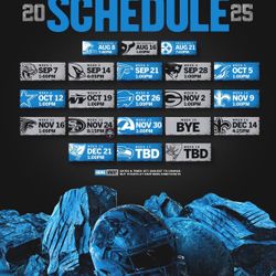 Carolina Panthers PSLs
