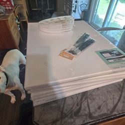 8 Canvasas 9 Paint Pallets And Some Brushes