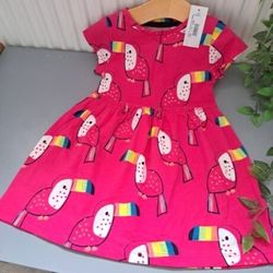 Baby Girl 12-18 Months BNWT Bluezoo Supersoft Dress