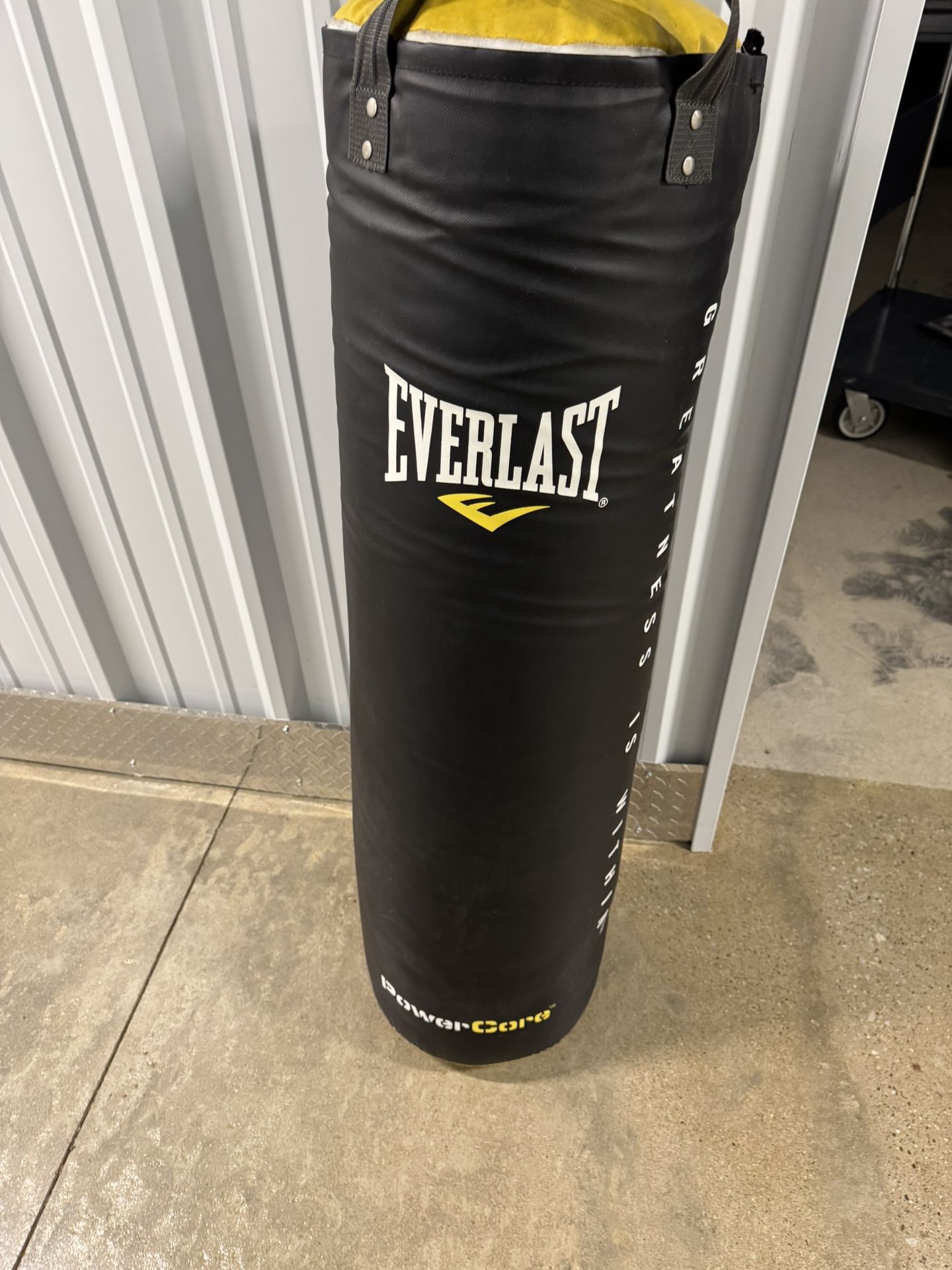 Everlast Punching Bag 80 LBS With Century Punching Bag Stand