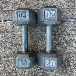 20 lb dumbbells dumbbell set Cast Iron Hex lbs weights weight 20lb 20lbs pair pounds pound #