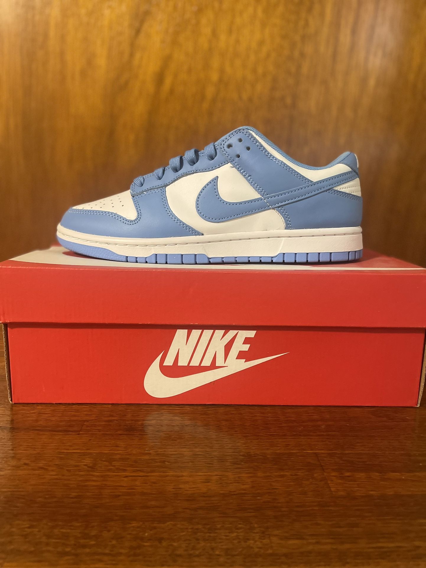Nike Dink Low UNC