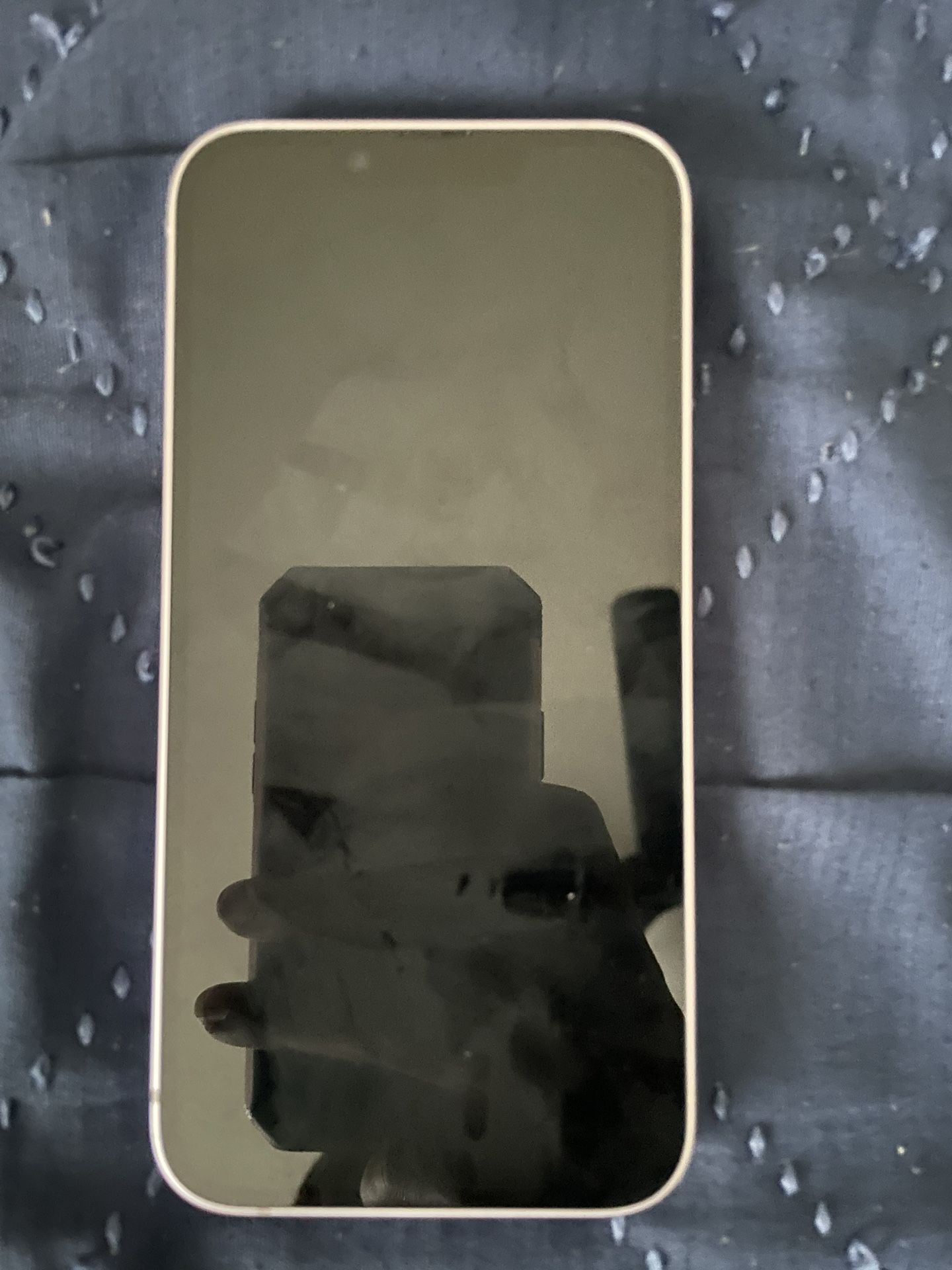 iPhone 14 No Cracks Fresh