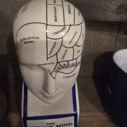 Phrenology Head Statue Map of Brain Porcelain Sculpture Victorian Reproduction