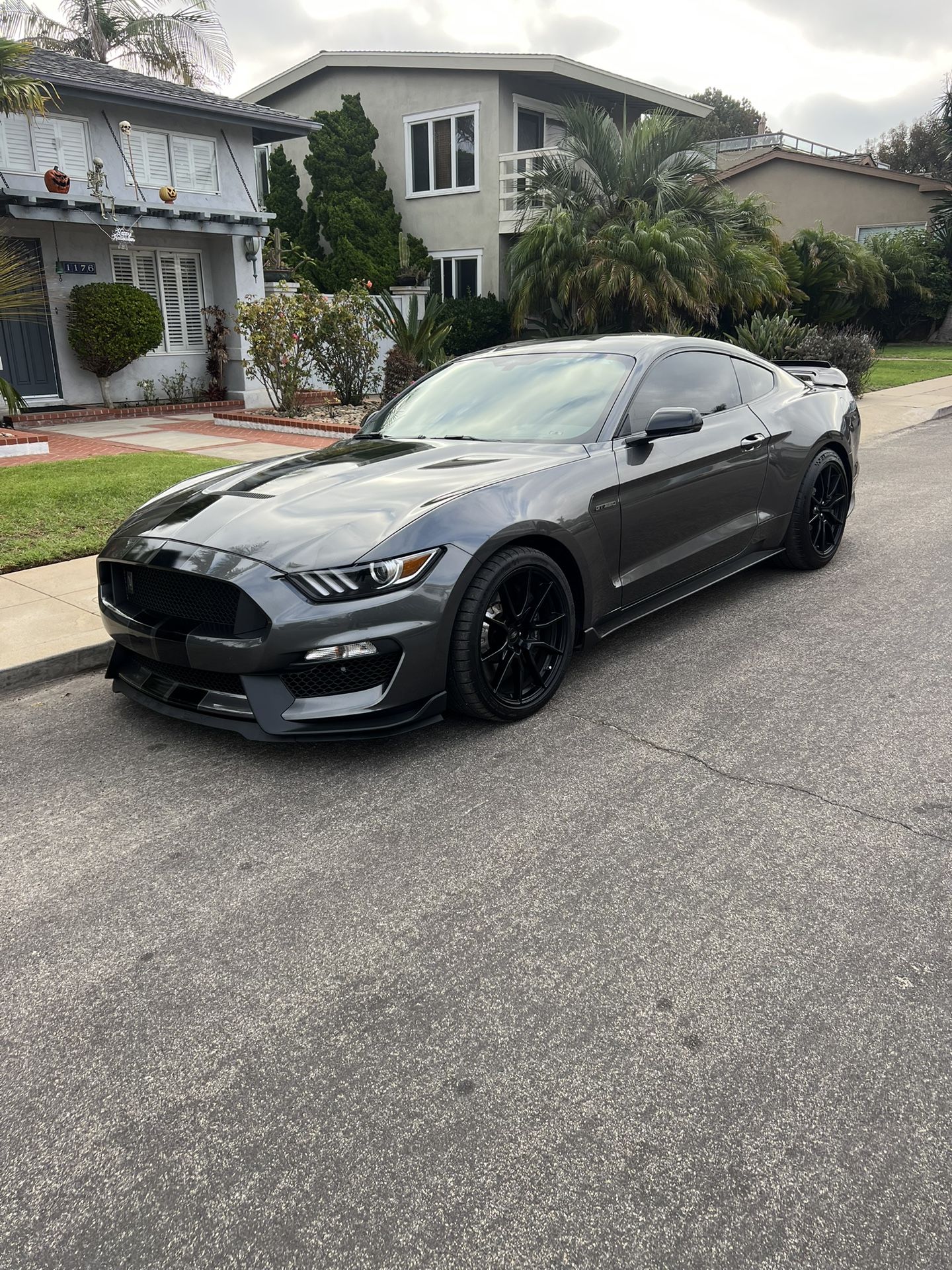2019 Ford Shelby Gt350