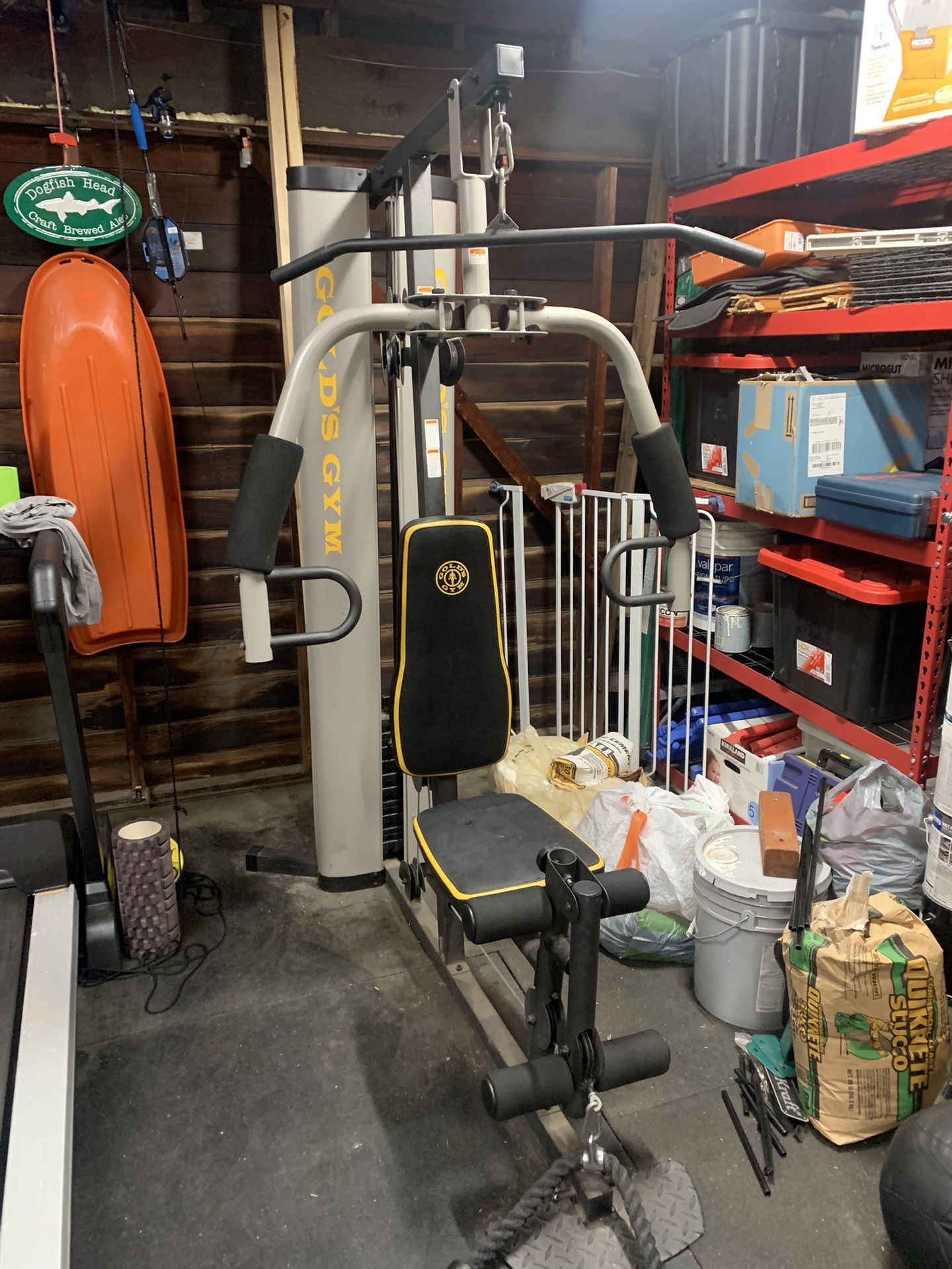 Gold’s Dual Cable Machine.
