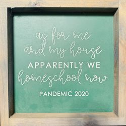 Pandemic Frame 