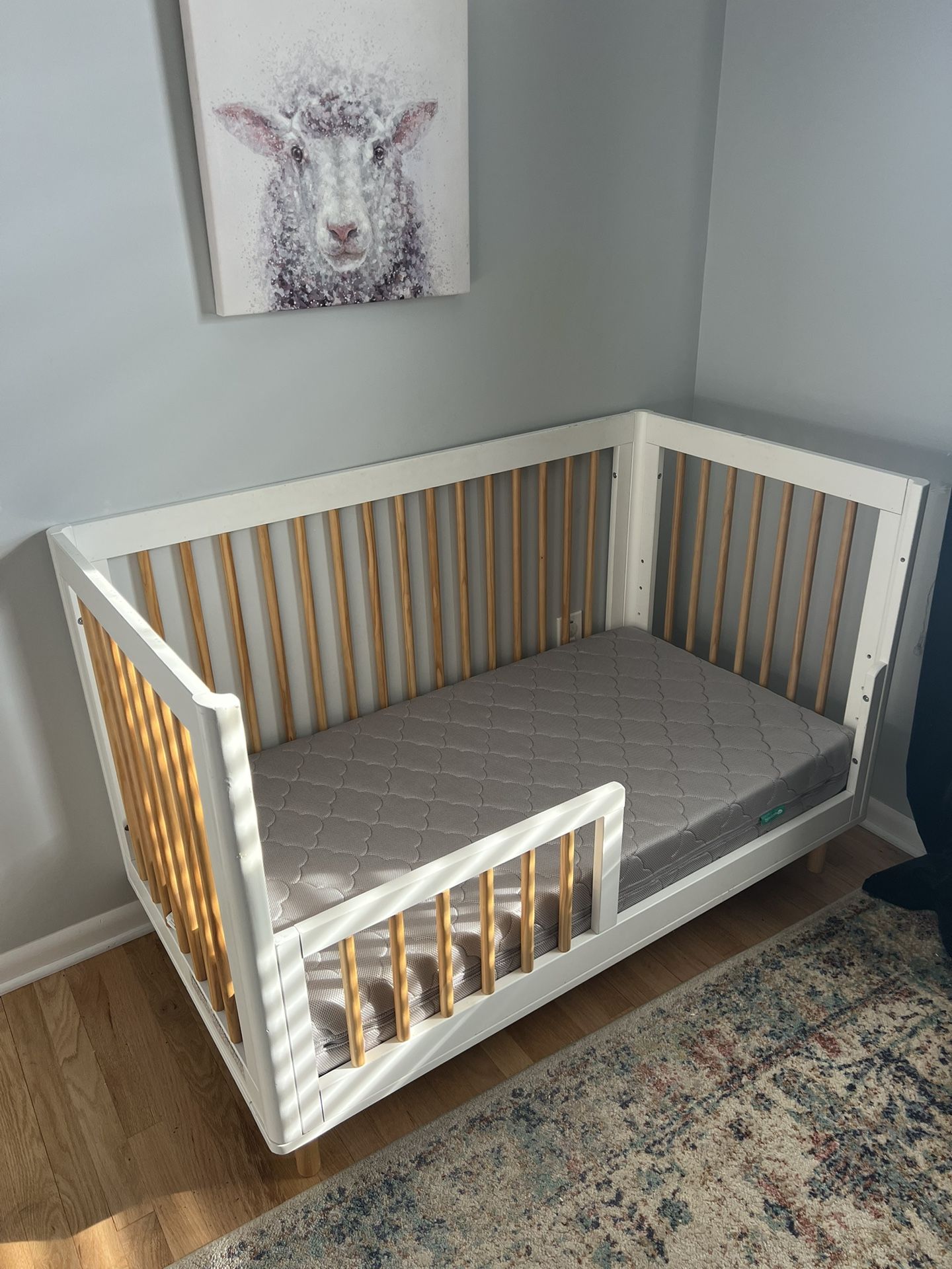 Non Toxic Newton Baby Mattress