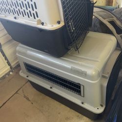 Dog Kennels 