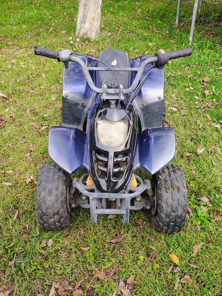 Kids 50cc Atv