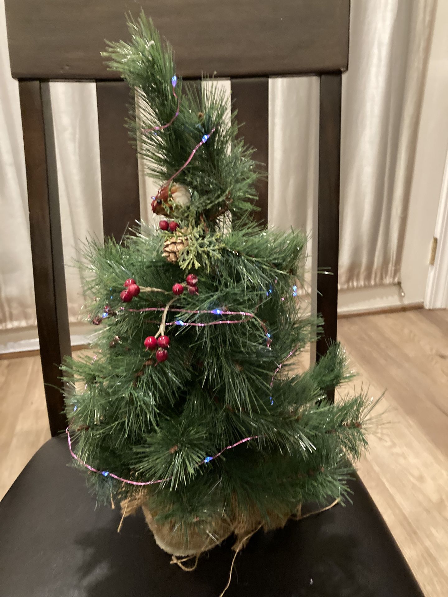 19 “ Tall Christmas Tree Lights Up