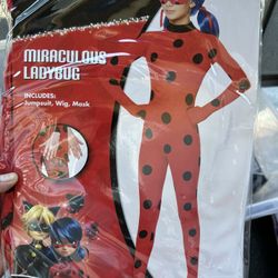 Ladybug Costume 