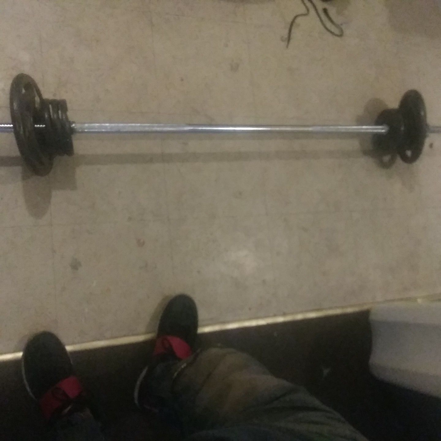 Weights bench bar curl bar