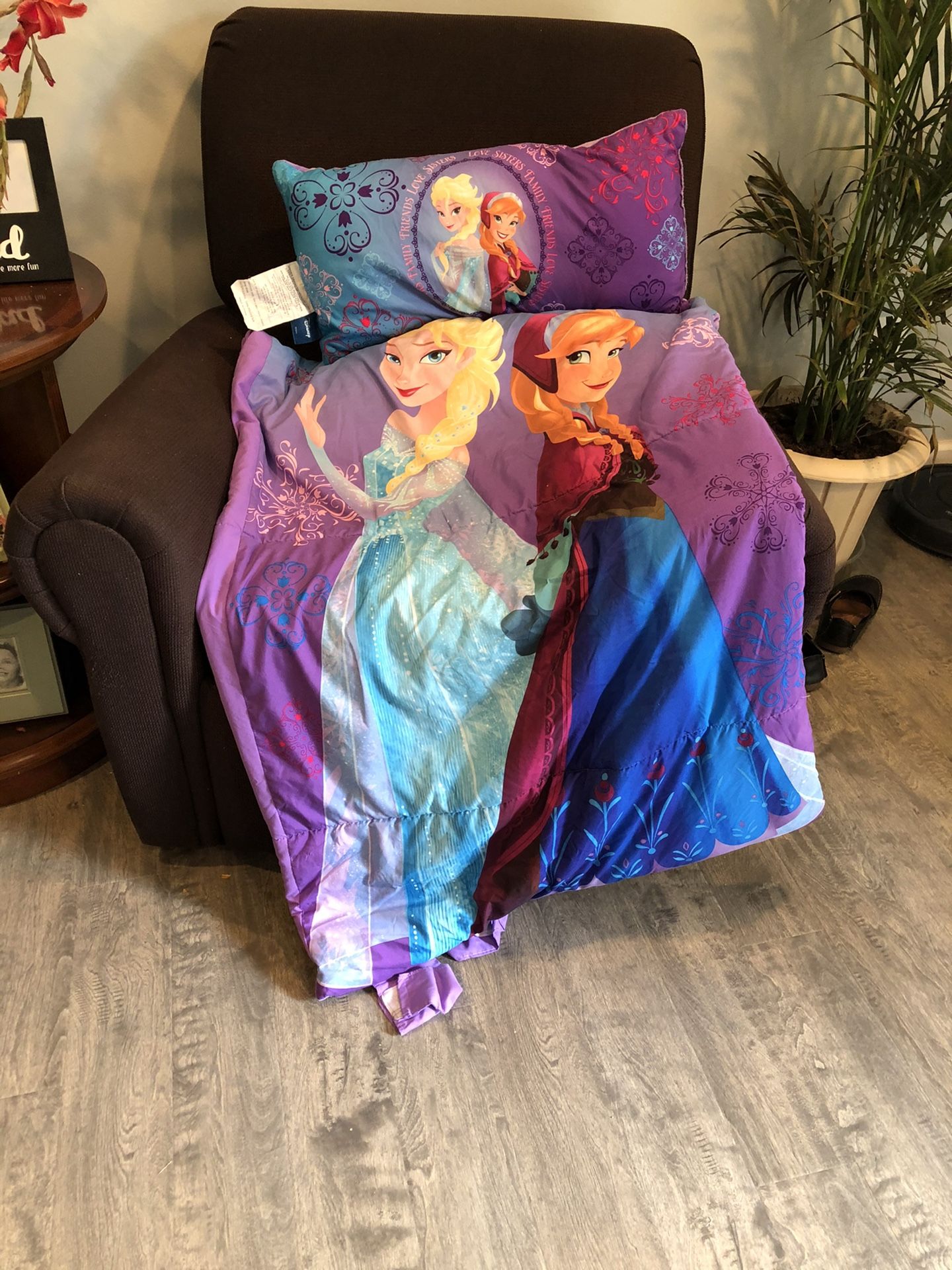 Frozen sleeping bag