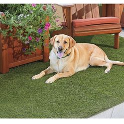 Artificial Grass Mat - 7 x 10'