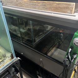 4x2x2 Reptile Enclosure 