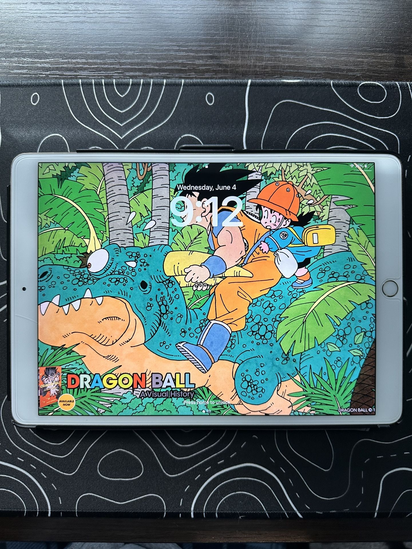 iPad Pro 10.5’ - 256 GB - 1st Generation - Offers Welcome!
