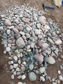 FREE 6-8 inch River rock about 5 tons / 3.5 cubic yards