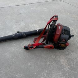 Echo Leaf Blower